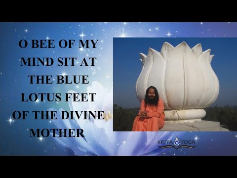 O the Bee of My Mind Sit at the Blue Lotus Feet of the Divine Mother