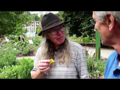 Landesgartenschau Bad Schwalbach 2018