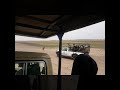 An African Safari To Remember