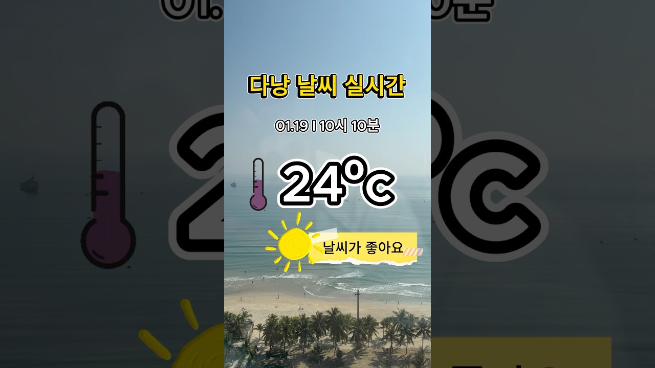다낭 실시간 1월19일 #다낭 #다낭날씨