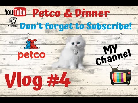 Petco Spfld Ma