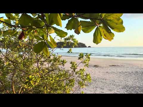 Playa Carrillo Guanacaste 14-01-2026