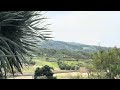 San Diego Zoo Safari Park Zebra Spotted Zebra Sandiego Sandiegozoo Travel Wildlife Youtube