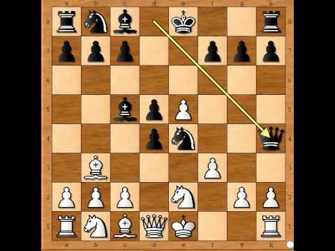 Mat Lovcima - STEVENSON vs MARIOTTI - Igra u centru  # 346