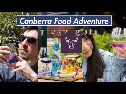 We try Canberra's best Gin bar | Tipsy bull | what to do in Canberra