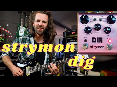 Strymon DIG Dual Digital Delay V1 2015 - 2022 - Pink image 5