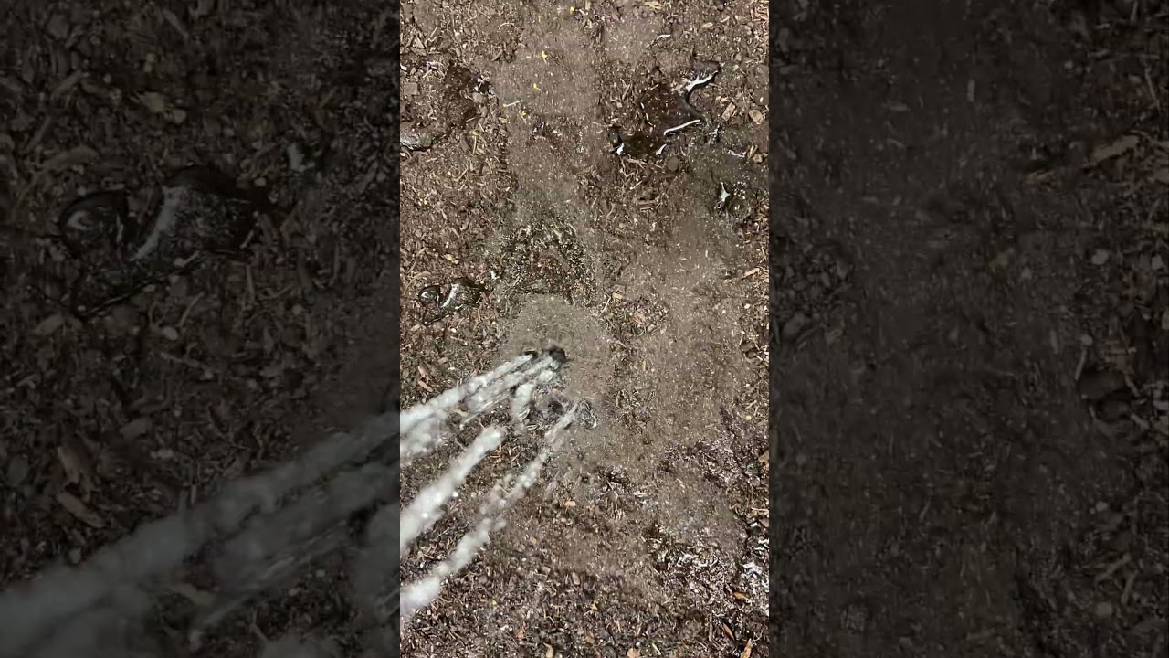 Farm bot water test! #farmbot  #code #lua #bot #robot