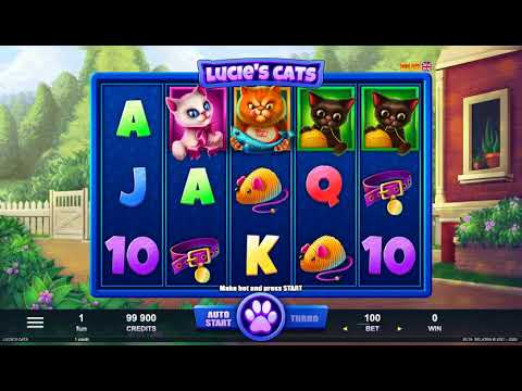 Lucie's Cats – Video Gameplay