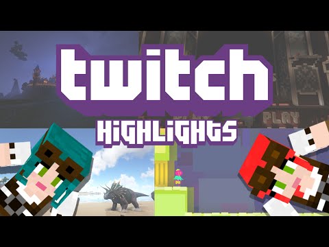 Insane Twitch Highlight: 2 Girls, 1 Minecraft - Beware Chad!