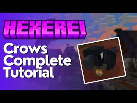 How to Tame & Use Crows in Hexerei