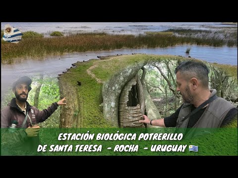 ESTACIÓN BIOLÓGICA POTRERILLO DE SANTA TERESA - ROCHA - URUGUAY 🇺🇾  PRIMER ÁREA PROTEGIDA DEL PAÍS .