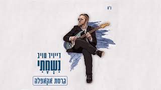 דייויד טויב - נשמתי - ווקאלי video