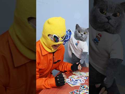 UNO Game🤣, Why Can't He Stop Playing Cards?💢  #funnycat #funnymemes #trending