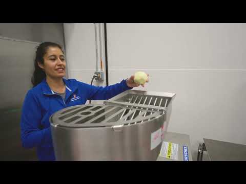 PEF on Potato Chips- IFT Video 2023