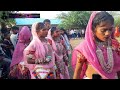 Aadivasi Shadi Dance Video 2025 Aadivasi Timli Video Aadivasi Video 2025 Aadivasi Shadi