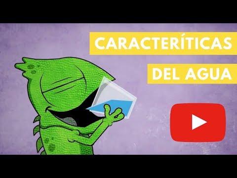 Características del agua | Camaleón