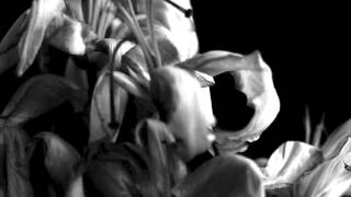 Slow Magic - On Yr Side (unofficial video)