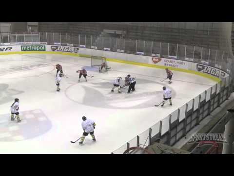 2016 02 25  u14 dunaújvárosi acélbikák  gepárd je   25 február