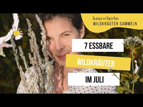 These 7 edible wild plants are a must-have for you to collect and try in July