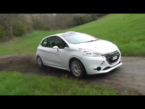 Peugeot 208 R2 Test | Max Reiter