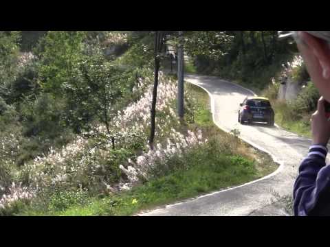 18° Rally Valli Cuneesi 2012 Albertini- Scattolin Clio R3C