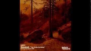 Damabiah - Sur Les Genoux D L'Automne (Original Mix)