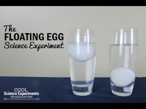 Floating Egg Science Experiment