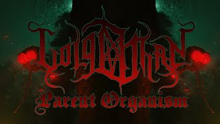 Parent Organism Music Video