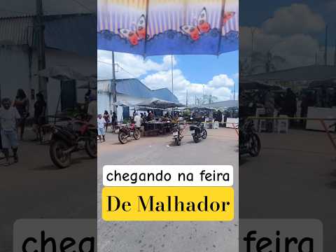 #shorts Feira livre de Malhador Sergipe #video #viral #short #videoshorts #shortsvideo #viralshorts