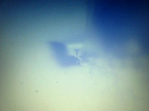 Dazed & Confused video thumbnail