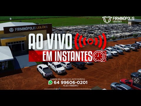 LEILÃO FIRMINOPOLIS LEILÕES 11/11/2025