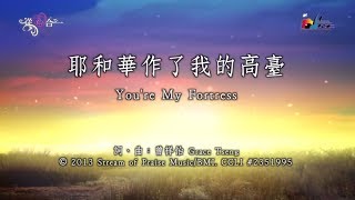 耶和華作了我的高臺