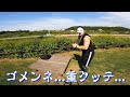 【瞬発力強化系トレーニング】プライオメトリクスでジャンピングデブ↑↑