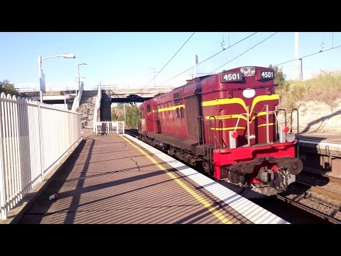4501 light engine passing P2 at Cockle Creek [4K]