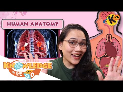 #QuizTime: Human Anatomy Knowledge On the Go Trivia Challenge