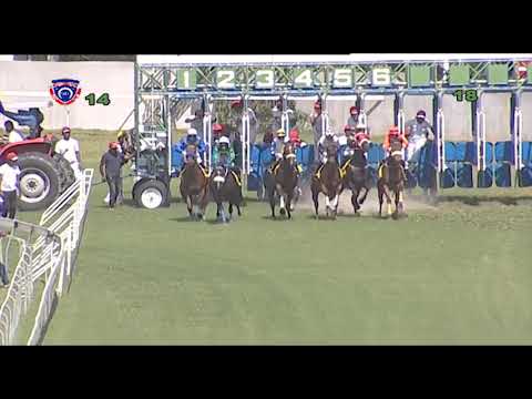 RM1 R4 - Answeringenesis