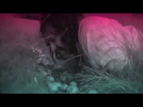Video thumbnail for Chrome Country