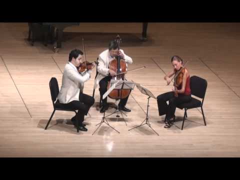 Beethoven String Trio in C minor - 3rd mvt. | G. Schmidt, L. Francis, E. Kim
