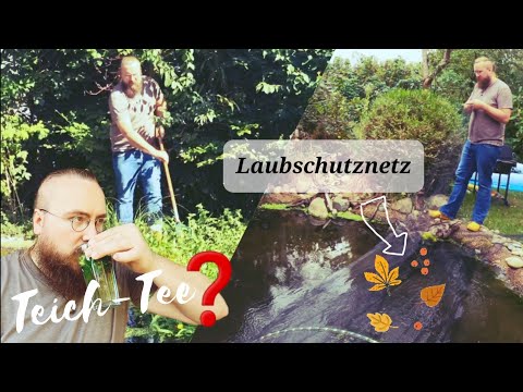 Gartenteich im Herbst🍁  |Pflege•Instandhaltung• Vorsorge| +Teichtee Trinken!