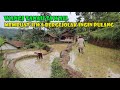 Download Lagu Wangi Tanah Sawah Bikin Rindu Kampung Halaman. Rasa Ingin Mudik Langsung Bergejolak Mp3 Free