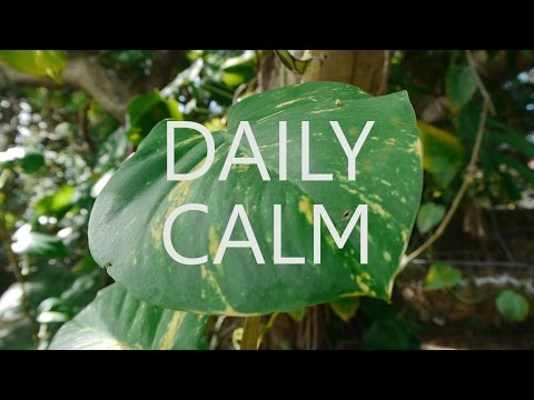 Hypnosis for Breath Mindfulness (Mindful Meditation, Stress Anxiety Relief, Improved Sleep Health)