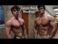 A Very Large Backworkout w/ Lots of Individuals