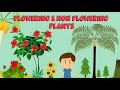 Flowering And Non Flowering Plants Plant Life Cycle Video For Kids
