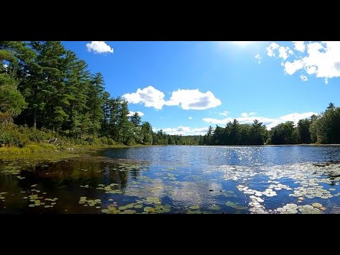 WaterFront Land For Sale at Lot 18 Shady Glen Terrace, Winchendon MA 2022 0901