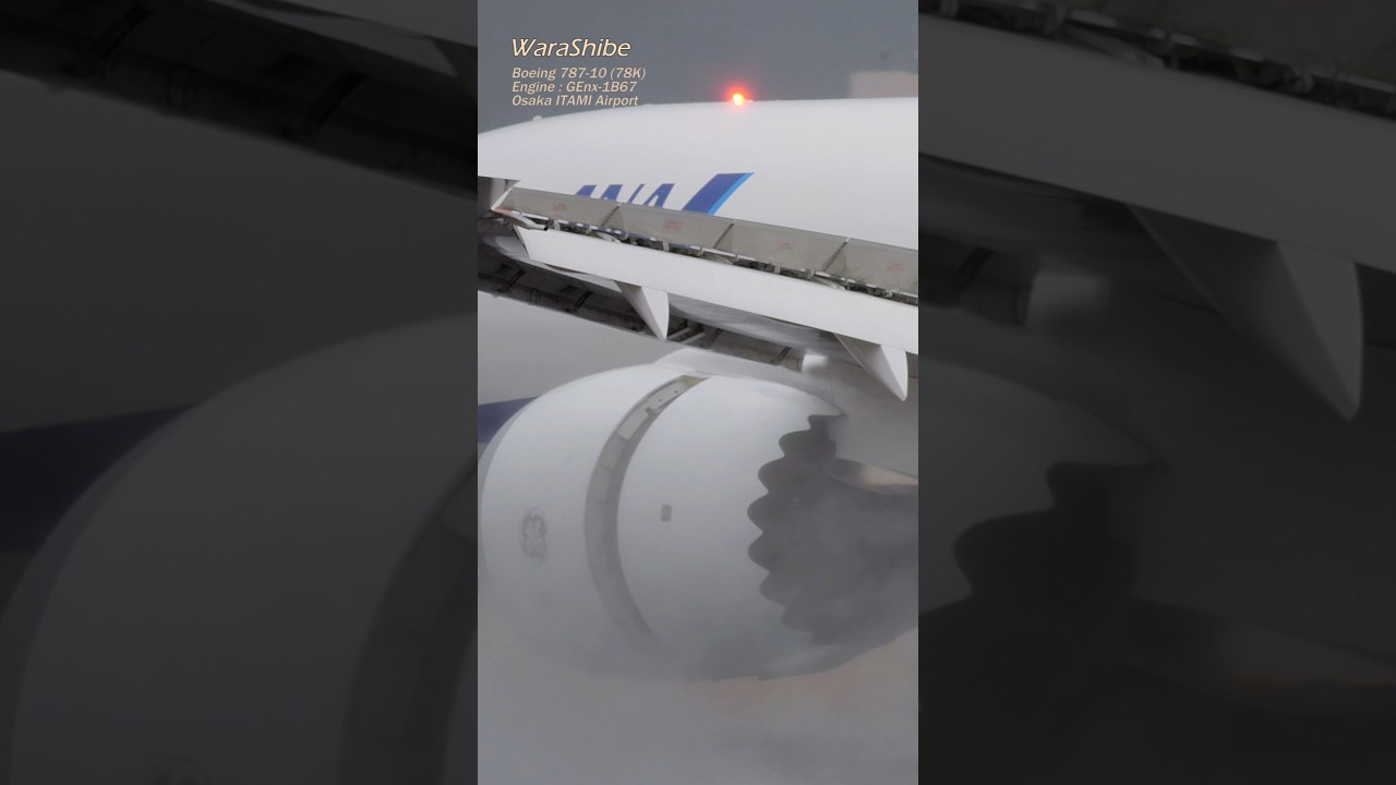 Powerful Rain Landing! Splash & Reverse Thrust | ANA B787-10 78K | (ITM/RJOO)