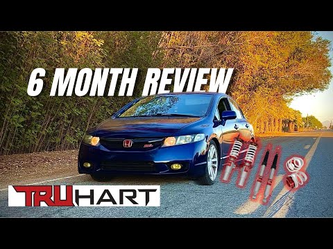 6 Month TruHart Coilover Review (8th Gen Honda Civic)