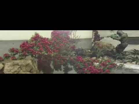 Riot 57 & Limited Beck BO2 Montage!