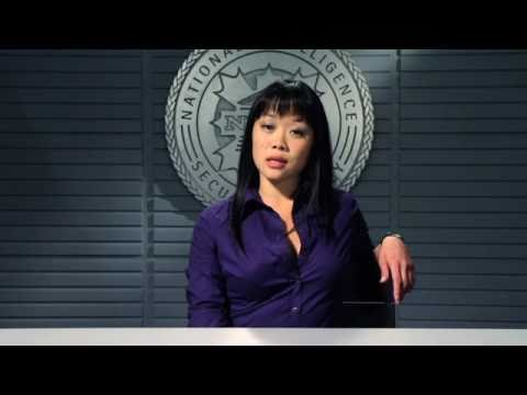 InSecurity - Jojo's Skill Set (NISA Declassified)