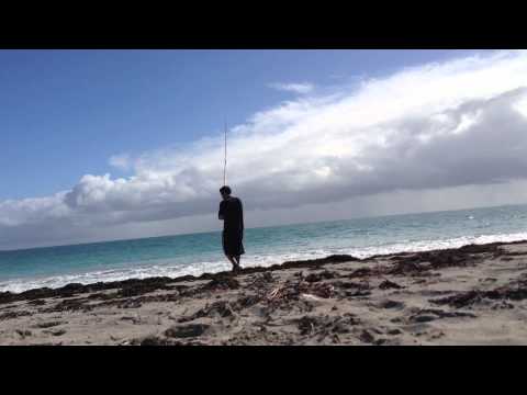 Zziplex M427SU 200g practice