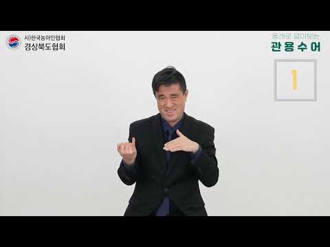 「적 없다」의 한국수어 표현
